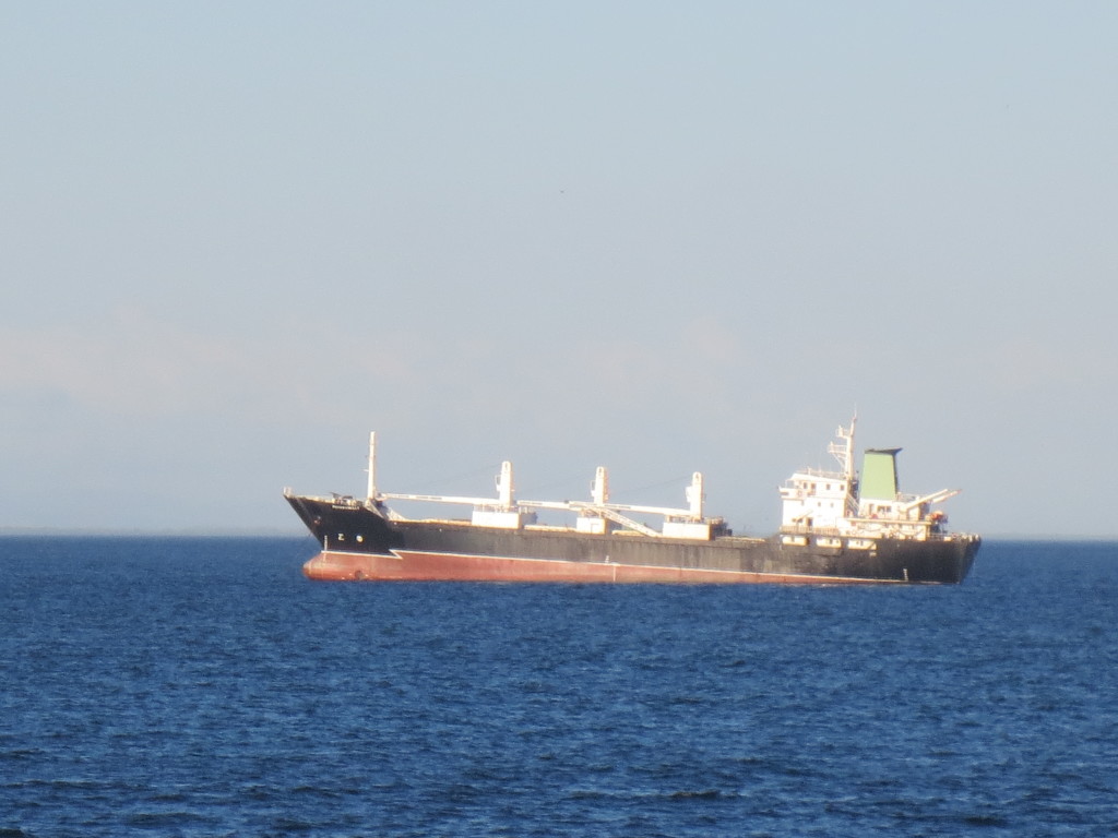 Bulk Carrier in Pacific