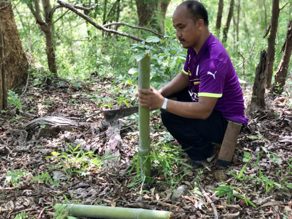 Machete Cutting Bamboo — R Ninan